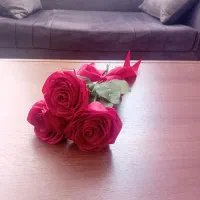 دسته گل ۱۰۰ تومن نمونه های بیشتر پیام بدین