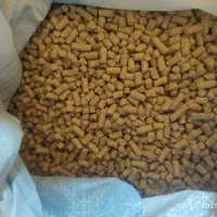 خواک دامی|حیوانات مزرعه|رزن, |دیوار