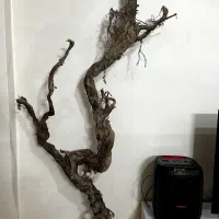 تزییناتی مناسب منزل،اتاق کودک یا آتلیه