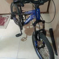 دوچرخه حرفه ای سایز ۲۰|دوچرخه، اسکیت، اسکوتر|رشت, دروازه لاکان|دیوار