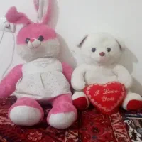 عروسک خرگوش وخرس