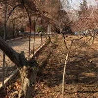 1300-متر-باغ-ویلا-شهرکی-دریانیه-فردیس