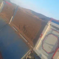 کود گاو و گوسفند