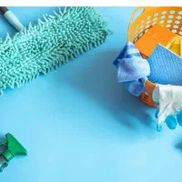 نیروی خدماتی پروژه‌ ای