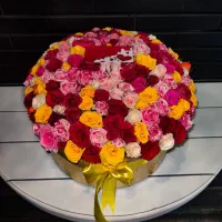 باکس گل رز مینیاتوری|گل و گیاه طبیعی|شیراز, بعثت|دیوار