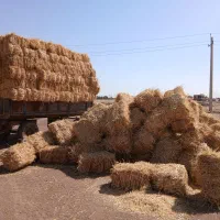 کلش پرس گندم