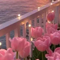 مشاوره و راهنمایی