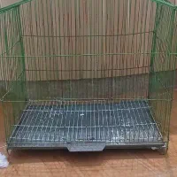 قفس پرنده