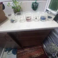 ۶ عدد بتا یا فایتر