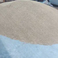 بذر گندم رقم شبرنگ|خدمات باغبانی و درختکاری|ایوان, |دیوار