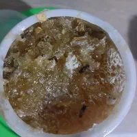 عسل کوهی