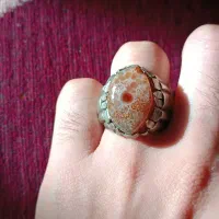 چهار عدد انگشتر سلیمانی لامه هزار چشم و دو چشم