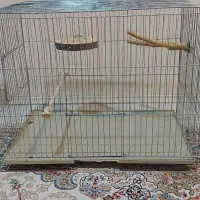 قفس پرنده|لوازم جانبی حیوانات|تهران, مرزداران|دیوار