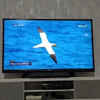 تلویزیون ال ای دی مدل  ال جی اصل کره سه بعدی|تلویزیون و پروژکتور|شاهین‌شهر, شهرک هشت بهشت|دیوار