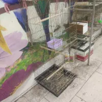 قفس بسیاربزرگ دوطبقه کاسکویی    آیهان|لوازم جانبی حیوانات|خوی, |دیوار