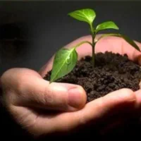 رهایی از اعتیاد