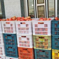 فروش انار درجه یک و دو سیاب|خوردنی و آشامیدنی|کوهدشت, |دیوار