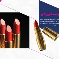 به دو همکار خانم نیازمندیم