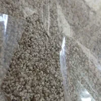 پادری نسکافه ای کرم