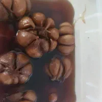 سیر ترشی