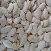 تخمه کدو خام