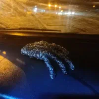 سازه فلزی دست و پاراکورد