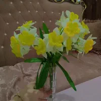 تزئینی خانه|صنایع دستی و سایر لوازم تزئینی|قم, سراجه|دیوار