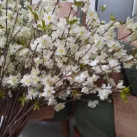 گل تزئینی|گل مصنوعی|فردیس, فردیس|دیوار