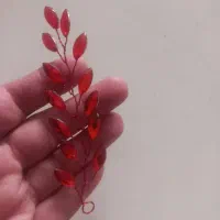 ریسه قرمز وسبز