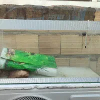 آکواریوم  70*25*35