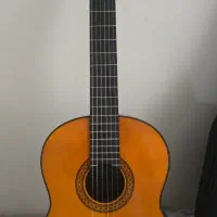 yamaha c80