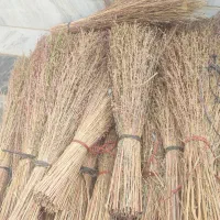 جارو محلی- فراشی
