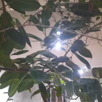آموزشگاه اجاره چند ساله
