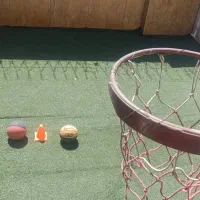 آموزش