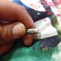 انگشتر نقره و تسبیح شاه مقصود