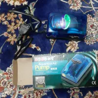 آکواریوم|لوازم جانبی حیوانات|پرند, فاز ۶|دیوار