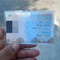 پیدا شده