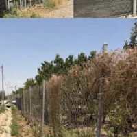 فنس و در باغی