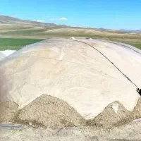 کاه سفید و نرم