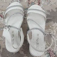 کفش مجلسی رنگ نود کرم سفید