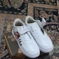 سایز ۳۱ نو داخل کارتن