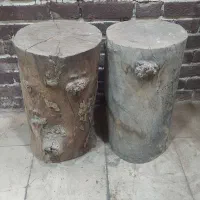 تنه درخت خشک