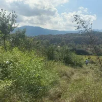 فروش-زمین-باغی-در-سوخته-کوه-لاهیجان