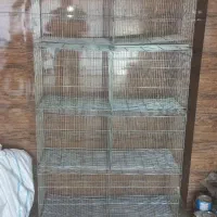 قفس هشت خان عروس کوتوله گرینچیک