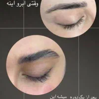 خداحافظی با ریزش مو و ابرو|خدمات آرایشگری و زیبایی|شیراز, قصرالدشت|دیوار