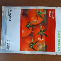 نشاه گوجه بادمجان فلفل زابل