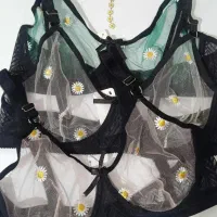 فروش انواع لباس زیر زنانه با قیمت مناسب|لباس|رشت, شهرک پردیسان|دیوار