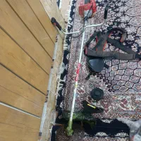 فروش علف زن توسن