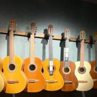 نمایندگی گیتار های پارسی