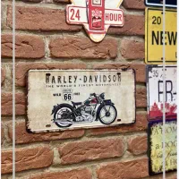 گمشده یا سرقت